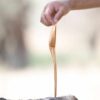 10" Olive Wood Serving Spoon 1